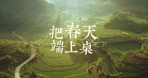 把春天端上桌｜寻春山野 春季新品抢鲜上市