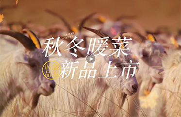 新诚嘉 秋冬暖菜 新品即将上市