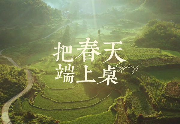 把春天端上桌｜寻春山野 春季新品抢鲜上市