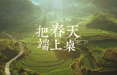 把春天端上桌｜寻春山野 春季新品抢鲜上市