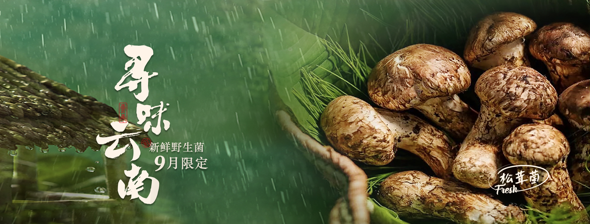 寻味云南