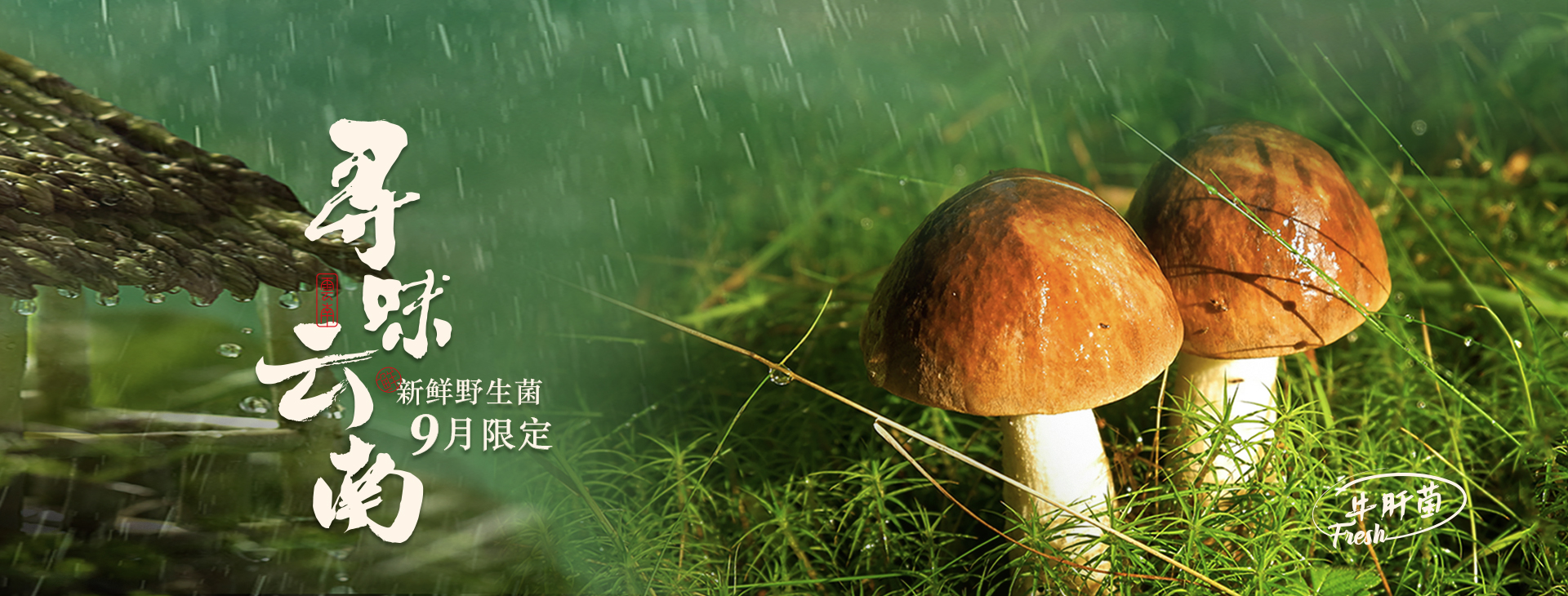 寻味云南